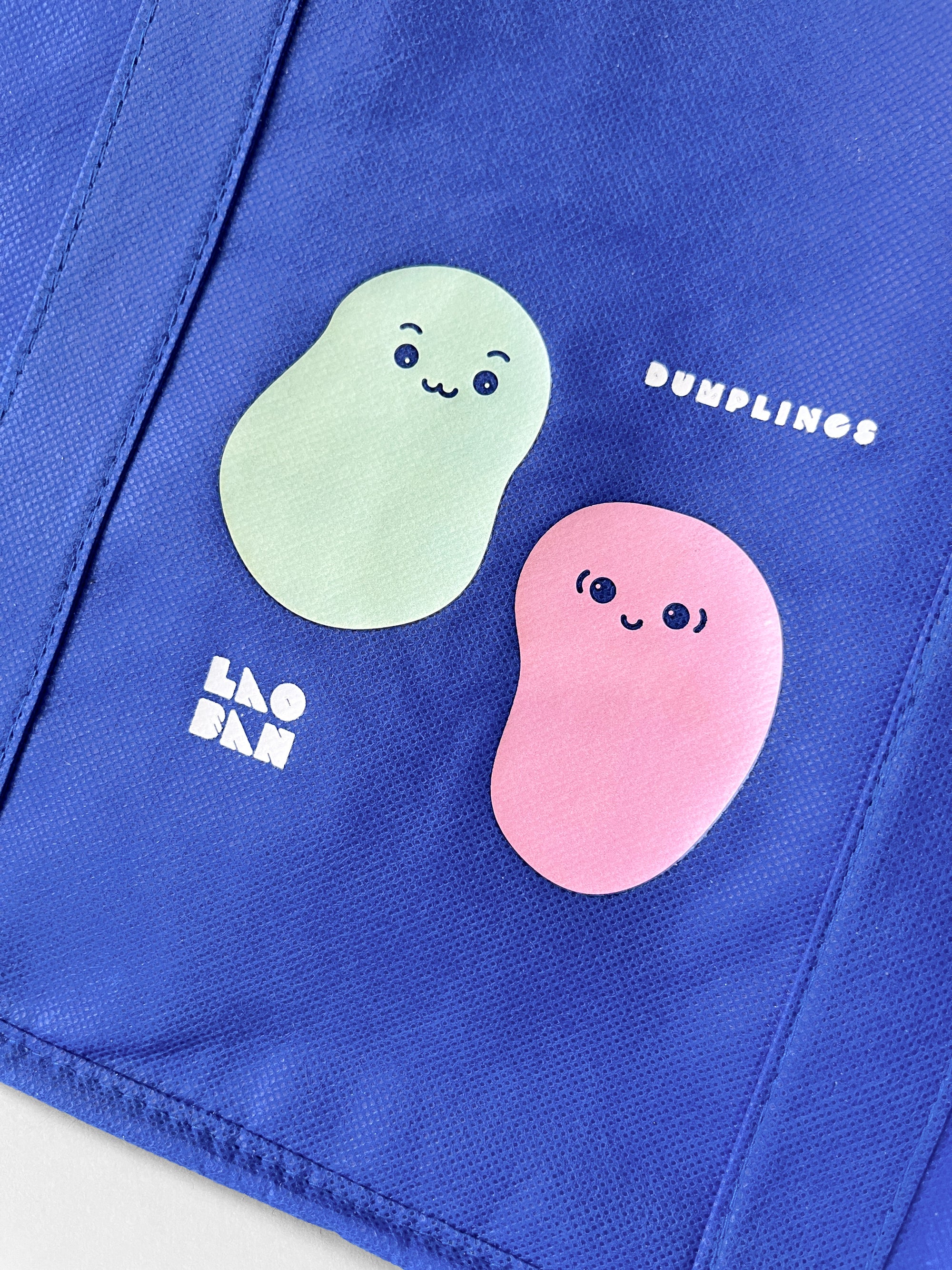 Insulated Dumpling Bag